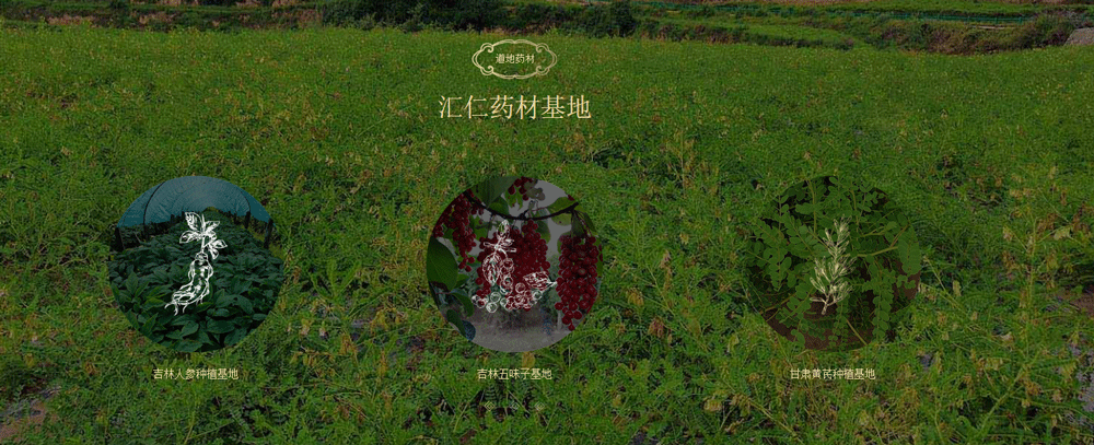 材料好产品才会好，汇仁高品质在行动